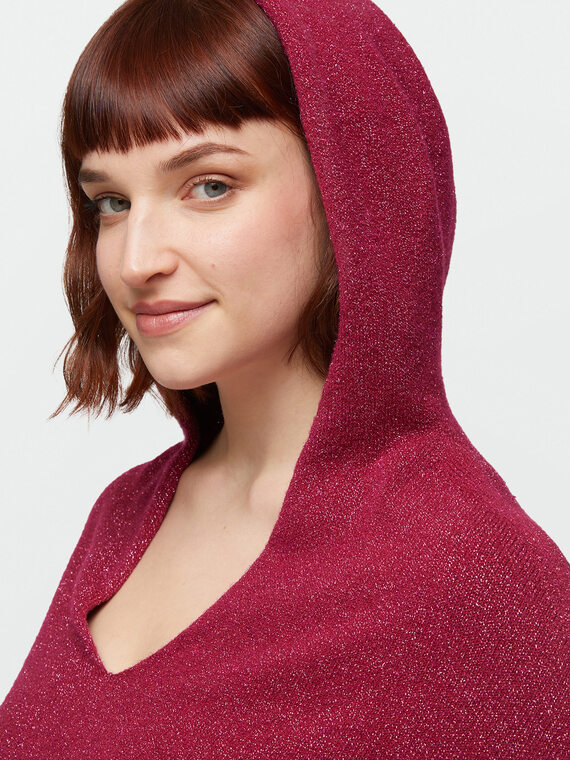 Pull lurex à capuche